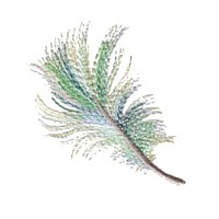 variegated feather machine embroidery design
