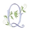 q machine embroidery design alphabet script rose leaves scroll abc a b c letter lettering monogram monogramming art pes hus jef dst exp needle passion embroidery