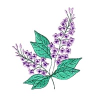 machine embroidery design lilac syringa flower embroidery machine embroidery design npe, needle passion embroidery designs
