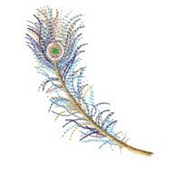 peacock feather machine embroidery design for variegated thread, bird feathers, down, wispy, multi-coloured, multi-color, multi-colour, colour changing thread