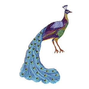 peacock bird machine embroidery design for variegated thread multicoloured thread multicolored machine embroidery thread stitched with variegated thread from needlepassion needle passion embroidery npe