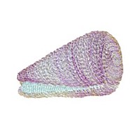 seashell sea shell machine embroidery design for variegated thread art pes hus dst needle passion embroidery npe