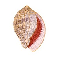 baler seashell, machine embroidery design, shell beach ocean water variegated multicolor sea