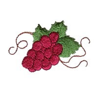small bunch of grapes machine embroidery design fruit vine art pes hus dst needle passion embroidery npe