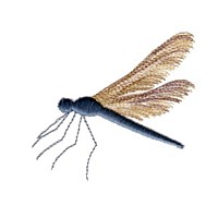 mosquito wings machine embroidery designs for variegated thread, bug, insect, flying, buzzing, multi-coloured, multi-color, multi-colour, colour changing thread