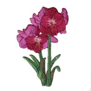 amaryllis flower christmas floral machine embroidery design art pes hus jef dst exp needle passion embroidery